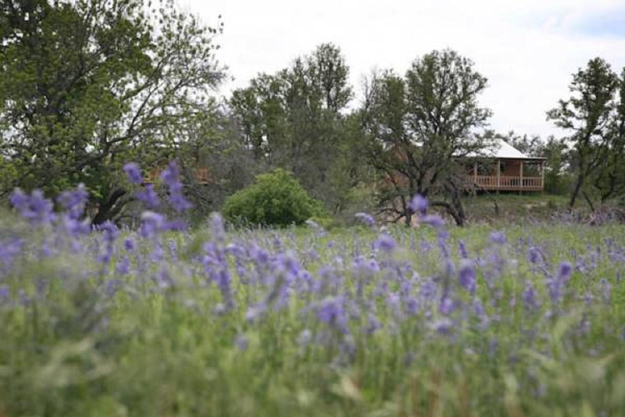 City On A Hill At Spring Creek Fredericksburg Eksteriør bilde