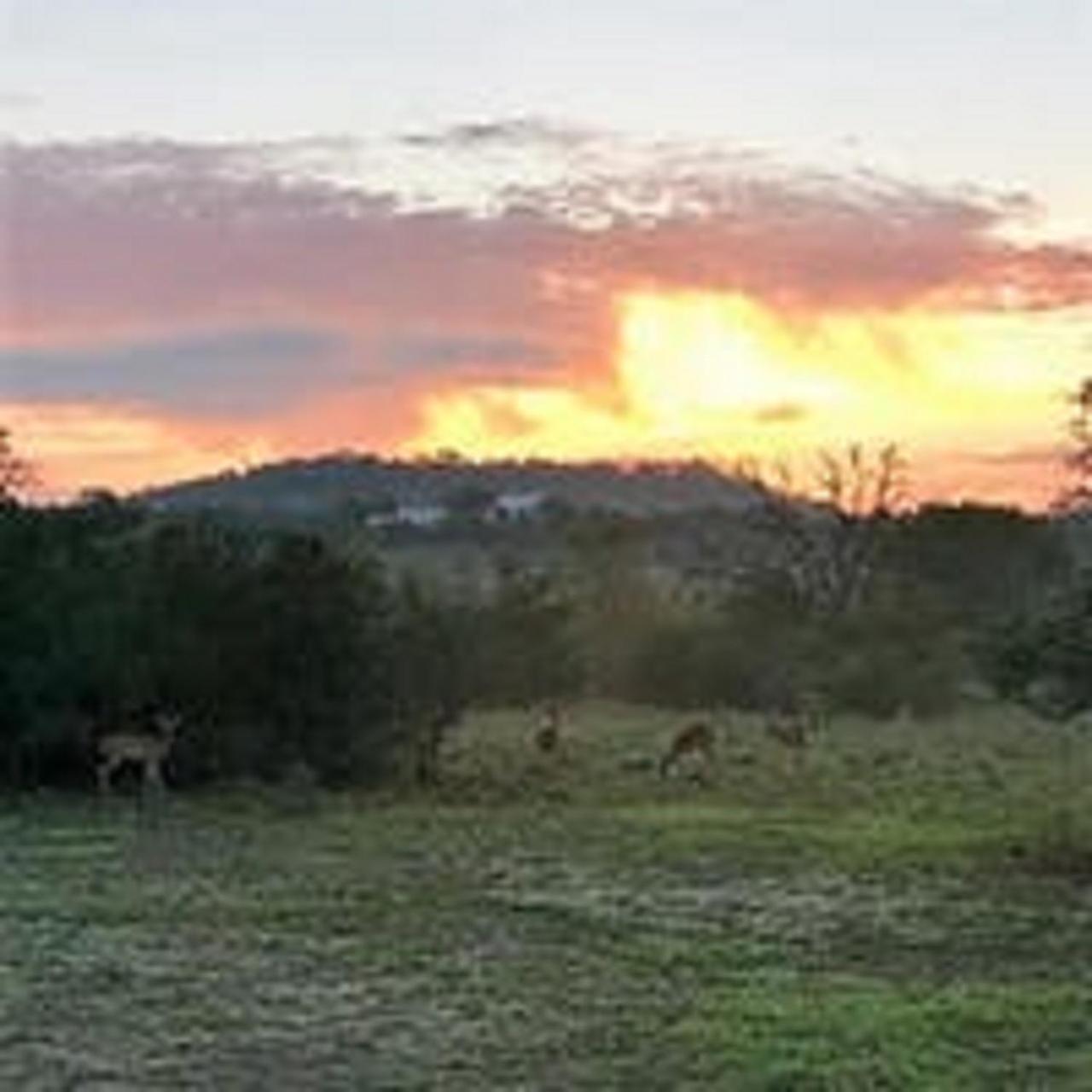 City On A Hill At Spring Creek Fredericksburg Eksteriør bilde