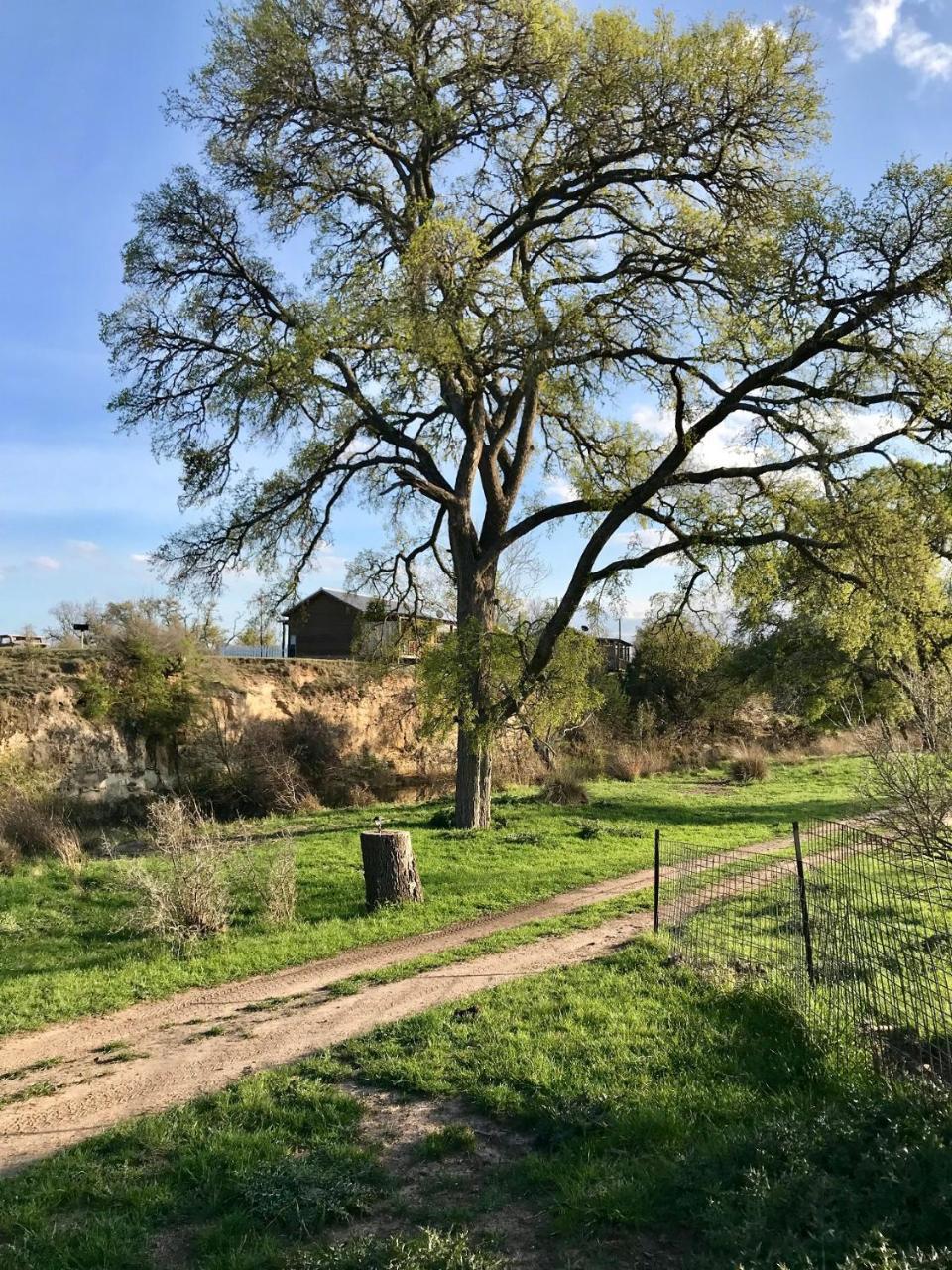 City On A Hill At Spring Creek Fredericksburg Eksteriør bilde
